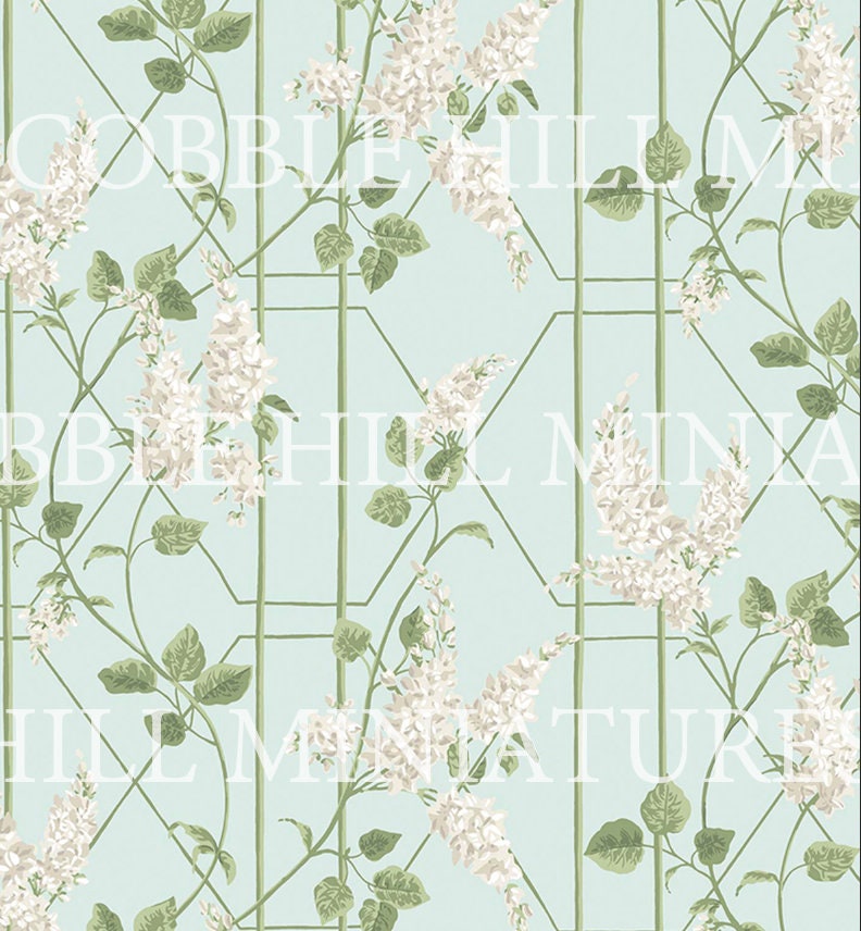 Climbing Hydrangea Vine Trellis